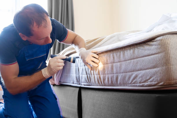 Best Fumigation Services  in Queens, NY